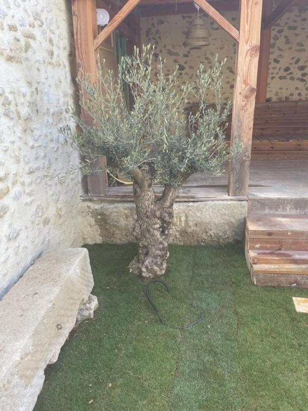 Drome Provencale Maison Familiale Calme Dans Village Valréas 外观 照片